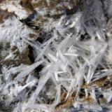 CelestinaMina Molinera, La Granja d´Escarp, Municipio La Granja d´Escarp, Comarca Segrià, Lérida / Lleida, Cataluña / Catalunya, EspañaCampo de visión 4 cm. (Autor: Antonio P. López)