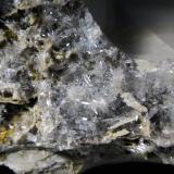 CelestinaPedrera Tossal Gros, La Pedrera, Ivorra, Comarca La Segarra, Lérida / Lleida, Cataluña / Catalunya, España6 x 5 cm. (Autor: Antonio P. López)
