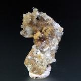 CelestinaConcesión Minerama II, Urbanización Puente Tablas, Jaén ciudad, Jaén, Comarca Metropolitana de Jaén, Andalucía, España5 x 3 cm. (Autor: Antonio P. López)