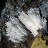 CelestinaMina Quien Tal Pensara (Mina Rica), El Pilar de Jaravía, Pulpí, Comarca Levante Almeriense, Almería, Andalucía, EspañaCampo de visión 4 cm. (Autor: Antonio P. López)