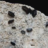 Hematite<br />Switzerland<br />10 mm x 5 mm x 2 mm<br /> (Author: Dany Mabillard)