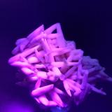 Calcite<br />Pachapaqui mining district, Pachapaqui, Aquia District, Bolognesi Province, Ancash Department, Peru<br />66 x 58 mm<br /> (Author: Sante Celiberti)