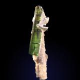 Elbaite and Muscovite<br />Minas Gerais, Brazil<br />16mm x 48mm x 12mm<br /> (Author: Firmo Espinar)