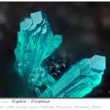 Dioptase<br />Veta Gruesa Mine, Garín Nuevo District, Copiapó Province, Atacama Region, Chile<br />fov 0.81 mm<br /> (Author: ploum)