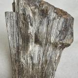 Anthophyllite, Almandine<br />Monteneve Mine (Schneeberg Mine), Val Passiria/Passeiertal, Moso in Passiria (Moos in Passeier), Trento Province, Trentino-Alto Adige (Trentino-Südtirol), Italy<br />5,5 x 3,5 cm<br /> (Author: Volkmar Stingl)