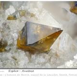 Anatase<br />L'Homme de Beurre, La Lauzière Massif, Saint-Jean-de-Maurienne, Savoie, Auvergne-Rhône-Alpes, France<br />fov 2.4 mm<br /> (Author: ploum)