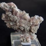 AragonitoLoma Bada, Petrer, Comarca Medio Vinalopó, Alicante / Alacant, Comunidad Valenciana / Comunitat Valenciana, España7 x 3.5 cm (Autor: Pedro Antonio)