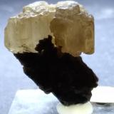 Fosgenita<br />Mina Monteponi, Iglesias, Provincia Sud Sardegna, Cerdeña/Sardegna, Italia<br />28 x 25 mm<br /> (Autor: Sante Celiberti)