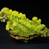 Pyromorphite<br />Gongcheng, Guilin Prefecture, Guangxi Zhuang Autonomous Region, China<br />59 mm x 29 mm 25 mm<br /> (Author: Don Lum)