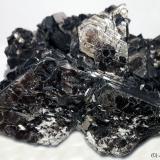 Moscovita<br />Indicio Zé Pinto, Aldeia, Conselheiro Pena, Vale do Rio Doce, Minas Gerais, Brasil<br />80x50 mm<br /> (Autor: Joan Niella)
