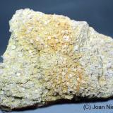 Fluorapatito<br />Distrito Skardu, Gilgit-Baltistan (Áreas del Norte), Paquistán<br />110x85 mm<br /> (Autor: Joan Niella)