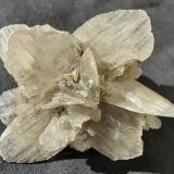 GypsumWansleben, Distrito Mansfeld-Südharz, Sajonia-Anhalt/Sachsen-Anhalt, Alemania5,5 x 5,5 cm (Author: Volkmar Stingl)