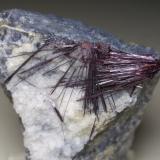 Kermesite<br />Pezinok, Pezinok District, Bratislava Region, Slovak Republic<br />32 x 25 mm<br /> (Author: Sante Celiberti)