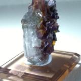 Brookite, Quartz<br />Taftan, Chagai District, Balochistan (Baluchistan), Pakistan<br />40 x 26 mm<br /> (Author: Sante Celiberti)