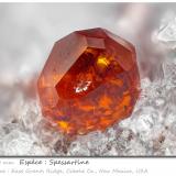 SpessartineEast Grants Ridge, Cibola County, New Mexico, USAfov 2.4 mm (Author: ploum)