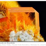 Wulfenite and MimetiteRowley Mine, Theba, Painted Rock District, Painted Rock Mountains, Maricopa County, Arizona, USAfov 7 mm (Author: ploum)