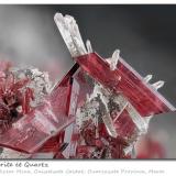 Erythrite<br />Bou Azzer Mines, Bou Azzer mining district, Ouarzazate Province, Drâa-Tafilalet Region, Morocco<br />fov 12.5 mm<br /> (Author: ploum)