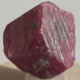 Corundum (variety ruby)<br />Mysore District, Karnataka, India<br />20 x 15 mm<br /> (Author: Volkmar Stingl)