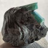 Beryl (variety emerald)<br />Sedl, Habach Valley, Hohe Tauern, Salzburg, Austria<br />2 x 2 cm<br /> (Author: Volkmar Stingl)