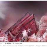 Erythrite<br />Bou Azzer mining district, Drâa-Tafilalet Region, Morocco<br />fov 4.4 mm<br /> (Author: ploum)