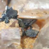 Cechita<br />Mina María Magdalena (Mina Santiago), calicata 'de l´Alzina', Lo Fangar (Els Solans), Ulldemolins, Comarca Priorat, Tarragona, Cataluña / Catalunya, España<br />CV 8x6 mm<br /> (Autor: Joan Niella)
