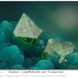 Libethenite and Turquoise<br />Miguel Vacas Mine, Pardais and Conceição Parish, Vila Viçosa, Évora District, Alentejo Central Province, Alentejo Region, Portugal<br />fov 1.8 mm<br /> (Author: ploum)