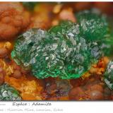 Adamite<br />Hilarion Mine, Hilarion area, Kamariza Mines, Agios Konstantinos, Lavrion Mining District, Attikí (Attica) Prefecture, Greece<br />fov 3.5 mm<br /> (Author: ploum)