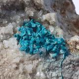 Chrysocolla, Calcite<br />Ringenwechsel Mining District, Troi, District Schwaz, Inn Valley, North Tyrol, Tyrol/Tirol, Austria<br />FoV 2,5 x 2 cm<br /> (Author: Volkmar Stingl)