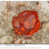 Garnet (variety spessartine)Sierra East Grants, Condado Cibola, New Mexico, USAfov 3 mm (Author: ploum)