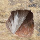 Aragonite<br />Grissianer Graben, Grissiano, Nalles (Nals), Autonomous Province South Tyrol, Trentino-Alto Adige (Trentino-Südtirol), Italy<br />7,5 x 7 cm<br /> (Author: Volkmar Stingl)