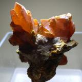 Orpiment<br />Twin Creeks Mine, cut 62, Potosi District, Osgood Mountains, Humboldt County, Nevada, USA<br />50 x 42 mm<br /> (Author: Sante Celiberti)