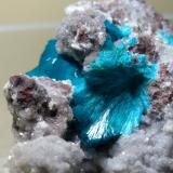 Cavansite, Stilbite-Ca<br />Wagholi Quarry, Wagholi, Pune District (Poonah District), Maharashtra, India<br />46 x 25 mm<br /> (Author: Sante Celiberti)