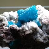 Cavansite, Stilbite-Ca<br />Wagholi Quarry, Wagholi, Pune District (Poonah District), Maharashtra, India<br />46 x 25 mm<br /> (Author: Sante Celiberti)