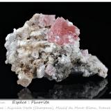 FluoriteAiguille Verte (lado La Charpoua), Mont Blanc, Chamonix, Haute-Savoie, Auvergne-Rhône-Alpes, Franciafov 75 mm (Author: ploum)