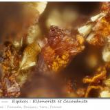 Eleonorite and Cacoxenitefov 0.84 mm (Author: ploum)