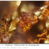 Eleonorite and Cacoxenite<br /><br />fov 0.84 mm<br /> (Author: ploum)