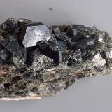 Augite (variety fassaite)<br />Toal de la Fassaita, Monzoni Mountains, Fassa Valley, Trento Province, Trentino-Alto Adige (Trentino-Südtirol), Italy<br />3 x 2,5 cm<br /> (Author: Volkmar Stingl)