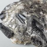 Schorl (Tourmaline Group)Lago Kraspes, Kühtai, Valle Sellrain/Sellraintal, Distrito Innsbruck-Land, Tirol Norte, Tirol, Austria9,5 x 7 cm (Author: Volkmar Stingl)