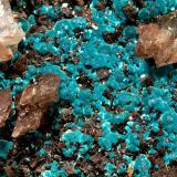 Rosasite<br />Ojuela Mine, Mapimí, Municipio Mapimí, Durango, Mexico<br />5.7 x  x 8.8 cm (FOV=3.6 cm)<br /> (Author: Michael Shaw)