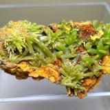 Pyromorphite<br />Daoping Mine, Gongcheng, Guilin Prefecture, Guangxi Zhuang Autonomous Region, China<br />46 x 30 mm<br /> (Author: Sante Celiberti)