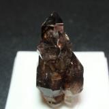 Cuarzo (variedad ahumado)<br />Mooralla, Condado Southern Grampians, Victoria, Australia<br />15x30 mm<br /> (Autor: Ignacio)
