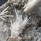 Aragonite<br />Hörndlinger Graben, Hochfilzen, Kitzbühel District, North Tyrol, Tyrol/Tirol, Austria<br />8 x 7 cm<br /> (Author: Volkmar Stingl)