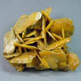 Wulfenite<br />Stevenson-Bennett Mine, Organ Mountains, Organ District, Doña Ana County, New Mexico, USA<br />7.0cm  x 6.0cm<br /> (Author: rweaver)