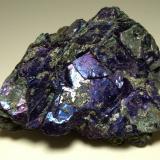 Covellita, Pirita<br />Mina Calabona, Alghero, Provincia Sassari, Cerdeña/Sardegna, Italia<br />71 x 54 mm<br /> (Autor: Sante Celiberti)