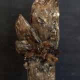 Yeso<br />Barranco de la Tejera, Loma de la Cuna, Montalbán, Comarca Cuencas Mineras, Teruel, Aragón, España<br />9.5 x 4 cm<br /> (Autor: Pedro Antonio)