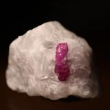 Corundum (variety ruby)<br />Jagdalek Mine, Surobi, Kabul, Afghanistan<br />25mm x 20mm x 18mm.  Crystal: 12 mm<br /> (Author: Firmo Espinar)