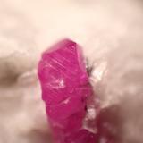 Corundum (variety ruby)<br />Jagdalek Mine, Surobi, Kabul, Afghanistan<br />Crystal: 12 mm.<br /> (Author: Firmo Espinar)