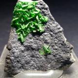 Torbernite<br />Musonoi Mine, Kolwezi, Kolwezi District, Lualaba, Katanga Copper Crescent, Katanga (Shaba), Democratic Republic of the Congo (Zaire)<br />30 x 25 mm<br /> (Author: Sante Celiberti)