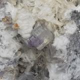 Fluorite, Baryte<br />Lead mines, Obernberg am Brenner, Innsbruck-Land District, Tyrol/Tirol, Austria<br />11 x 9 cm<br /> (Author: Volkmar Stingl)