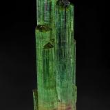 Elbaite<br />Rubaya, Bahunde, Masisi Territory, North Kivu Province (Kivu), Democratic Republic of the Congo (Zaire)<br />9.4 x 2.4 cm<br /> (Author: am mizunaka)